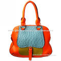 Ostrich leather tote bag for lady 2014